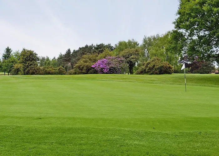 Kingfisher Tatil Evi *