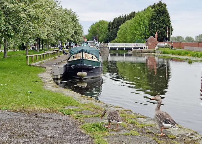 Tatil Evi Kingfisher